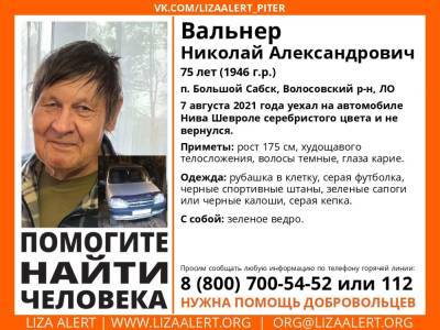 В Волосовском районе без вести пропал 75-летний мужчина