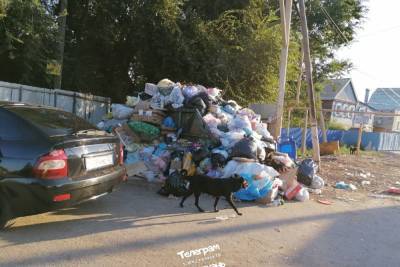 Астраханцы жалуются на мусор напротив 71 школы