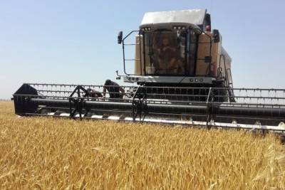 На Ставрополье завершили уборку зерновых с урожаем 8,6 млн тонн