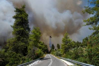 Греция в огне: на одном из островов разбился пожарный самолет (ФОТО)