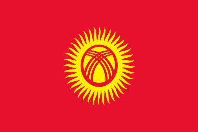 Российский СПЧ призвал усилить меры по защите русскоговорящих граждан в Киргизии