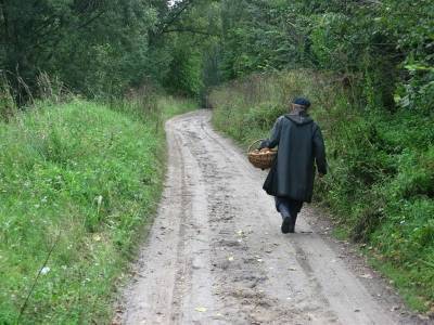В лесу в Смоленской области заблудился пенсионер