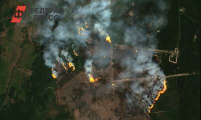 Лесной пожар на территории ЗАТО Саров в Нижегородской области удалось потушить