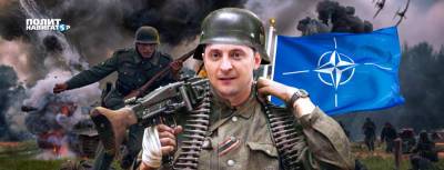 Украина стремится получить «статус первоочередного пушечного мяса»