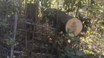 Бревно на ограде: пензячку возмутил бардак на Мироносицком кладбище