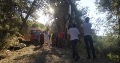 В Турции автобус слетел с дороги, перевернулся и врезался в дерево, есть жертвы