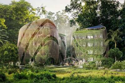 Архитекторы из Мексики представили уникальные зеленые дома будущего и мира
