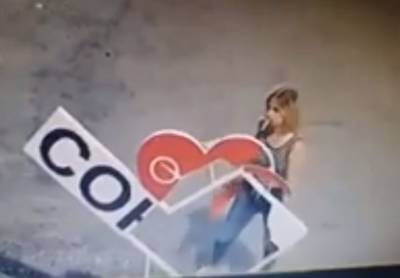 В Липецке девушка разгромила надпись «Я люблю Сокол»