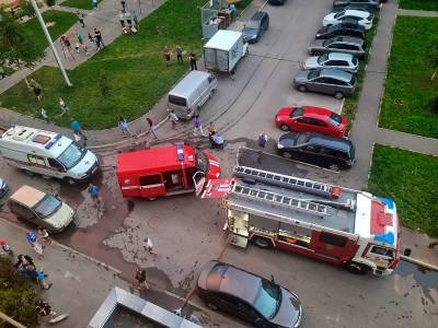 В МЧС назвали причину вчерашнего переполоха на Витебском шоссе в Смоленске