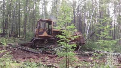 В Якутии лесные пожары охватили более полутора миллионов гектаров