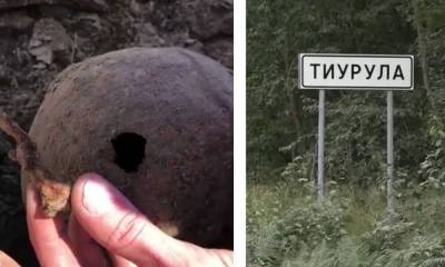 В Карелии обнаружено загадочное захоронение: там более 200 человеческих останков