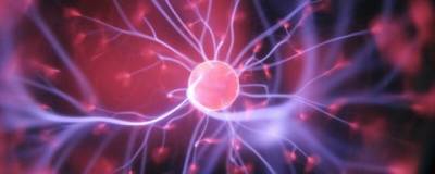 Французские ученые создали хранящие воспоминания синтетические клетки мозга