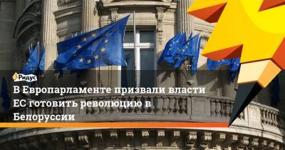 В Европарламенте призвали власти ЕС готовить революцию в Белоруссии