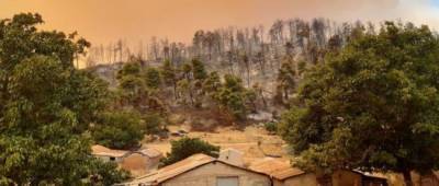 Греции помогают бороться с лесными пожарами более 20 стран, включая Украину
