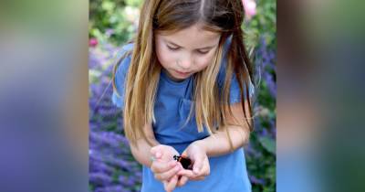 Кейт Миддлтон опубликовала фото дочери с бабочками