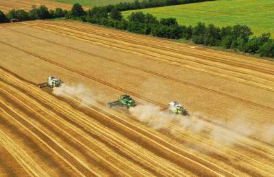 Уборка ранних зерновых завершилась в Ristone Holdings