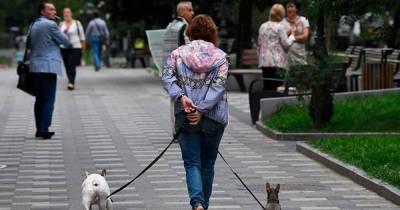 Москвичи массово пожаловались на отравления собак неизвестным веществом