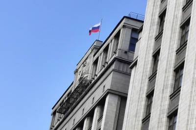 На Совете Думы предложили запретить въезд в Россию за притеснение русскоговорящих