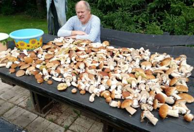 «Больные грибами» ленинградцы поразили Сеть объемами собранного на прогулке
