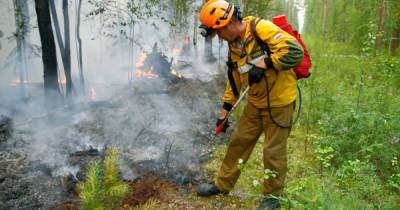 Лесные пожары в Якутии признали самыми масштабными на планете