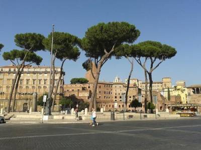 В Риме и еще семи городах Италии объявлен наивысший уровень опасности из-за жары до плюс 48 градусов
