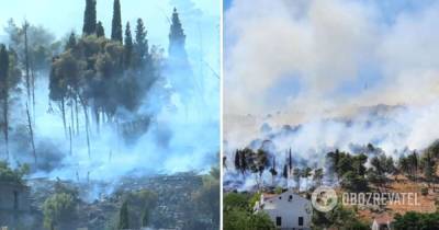 В Черногории лесные пожары: огонь добрался к жилым домам - фото