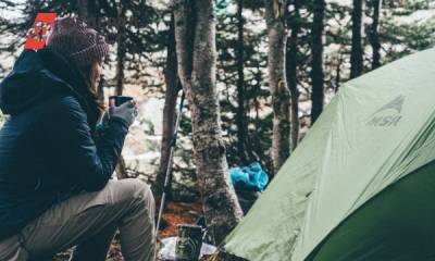Из-за нашествия медведей в Красноярском крае сворачивают палаточные лагеря