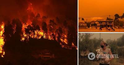 Лесные пожары в Греции: тысячи людей покинули свои дома, фото и видео