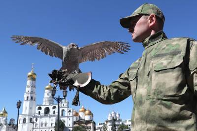 Новобранец крылатого караула: на стражу Кремля заступила полярная сова