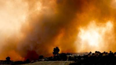 В Турции взяли под контроль почти все лесные пожары