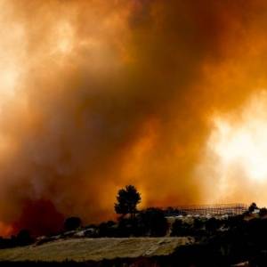 Турция взяла под контроль почти все лесные пожары