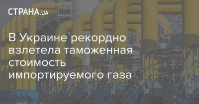 В Украине рекордно взлетела таможенная стоимость импортируемого газа