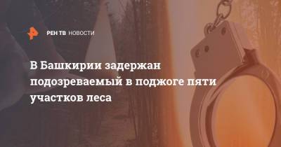 В Башкирии задержан подозреваемый в поджоге пяти участков леса - ren.tv - Башкирия