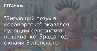 "Зигующий петух в косоворотке" оказался курящим селезнем в вышиванке. Зрада под окнами Зеленского