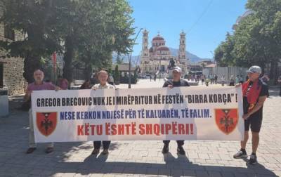 Албания проигнорировала Косово. На протест против выступления...