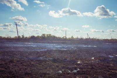 В Воронежской области при сжигании сухой травы и мусора пострадали 10 человек