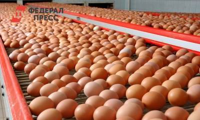 На Среднем Урале начался аукцион по продаже Рефтинской птицефабрики