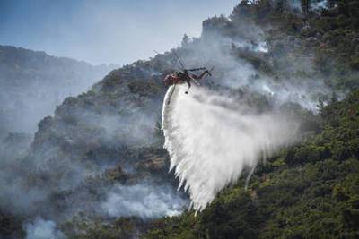 США расширят помощь Греции в тушении лесных пожаров