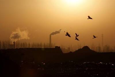 Китай оказался угрозой мировой экологии