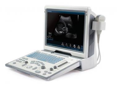 Портативные УЗИ сканеры: устройства для доступной высокоточной ветеринарной диагностики