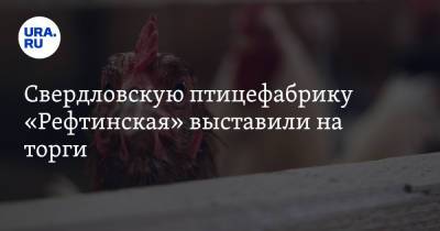 Свердловскую птицефабрику «Рефтинская» выставили на торги