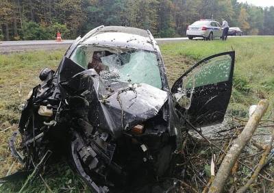 В Ряжском районе Nissan въехал в дерево, водитель погиб