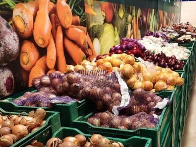 Диетолог Ковальков назвал овощи из супермаркета более безопасными, чем дачные