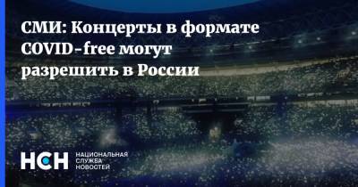 СМИ: Концерты в формате COVID-free могут разрешить в России