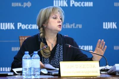 Представители ЦИК срочно выехали в Петербург для проверки избирательной кампании