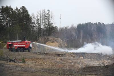 С начала года в Татарстане произошло 10 лесных пожаров
