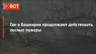 Где в Башкирии продолжают действовать лесные пожары