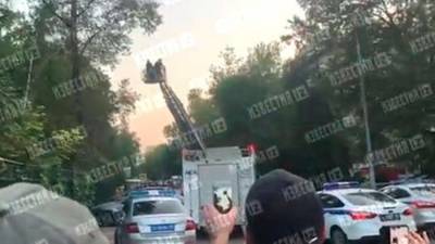 В Москве спасатели сняли с дерева женщину с арбалетом