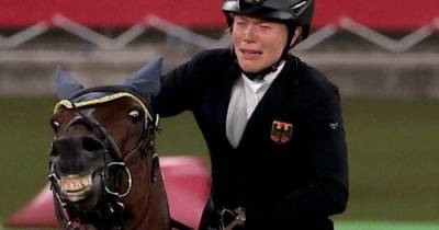 На Олимпиаде над наездницей "позлорадствовал" конь: животное стало героем мемов (фото, видео) - focus.ua - Украина - Германия