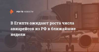 В Египте ожидают роста числа авиарейсов из РФ в ближайшие недели